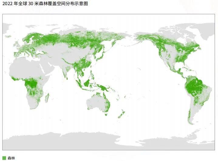 Data Image