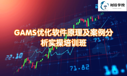基于GAMS软件的数学建模与优化分析实战培训课程