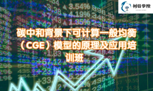 碳中和背景下可计算一般均衡（CGE）模型的原理及应用精品培训课程
