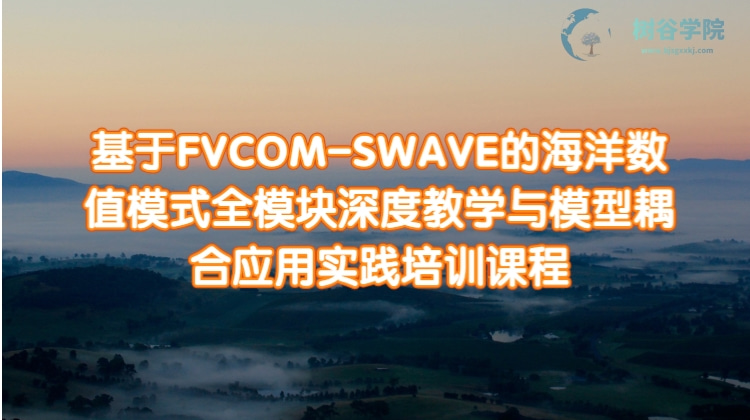 基于FVCOM-SWAVE的海洋数值模式全模块深度教学与模型耦合应用实践培训课程